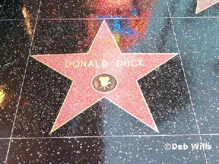 Donald's star