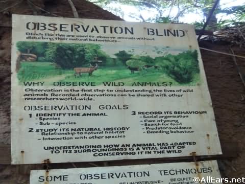 Animal Kingdom Pangani Forest Exploration Trail 