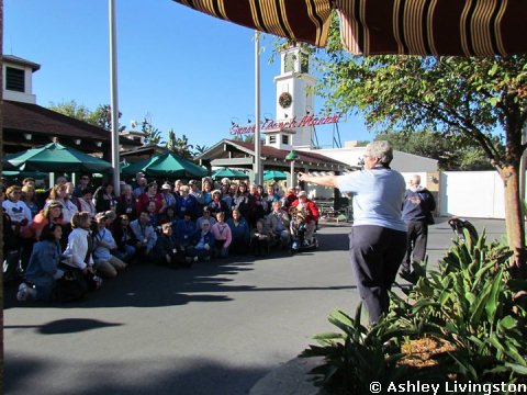 All Ears Meet and Greet at Disney's Hollywood Studios