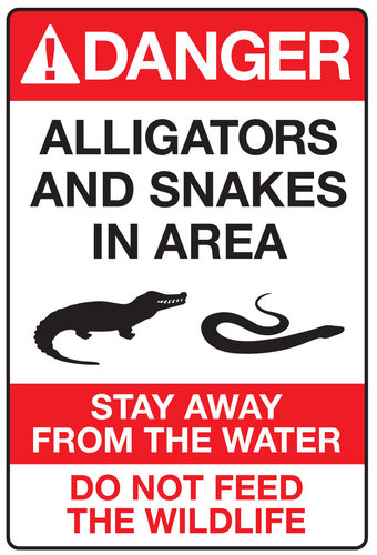 disney-alligator-sign.jpg