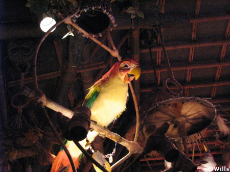 Tiki Birds in Adventureland at Disneyland