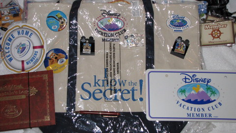 Disney Vacation Club License plate, travel pillow, lanyards, pins -