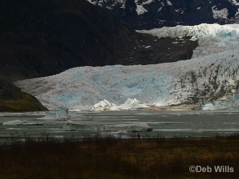 Disney Wonder Juneau Alaska Mendenhall Glacier 