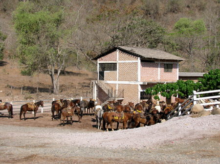 Rancho Capomo Puerto Vallarta 