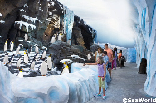 Antarctica-Penguin-Habitat.jpg