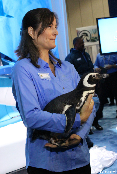 SeaWorld_Antarctica_penguin1.JPG