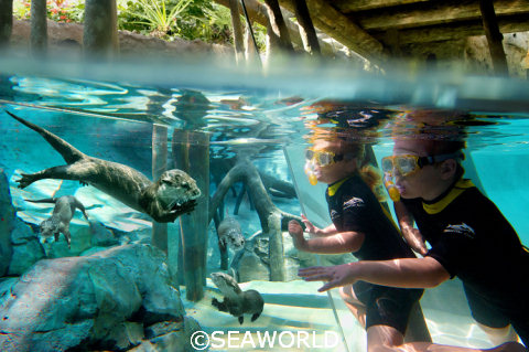 SeaWorld Freshwater Oasis