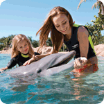 discoverycove0609.gif