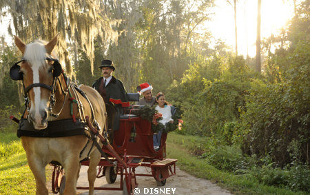 walt disney world florida rides. at Walt Disney World in