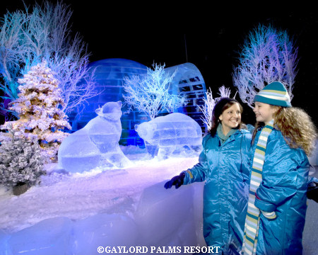 Gaylord Palms' ICE!