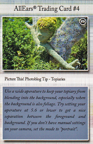 AllEars_Trading_Card_4