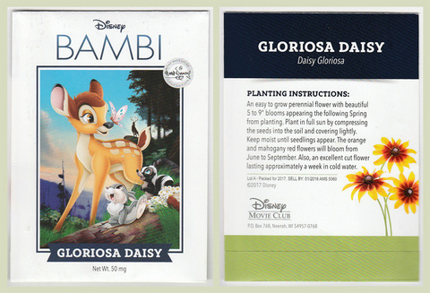 Bambi Daisies