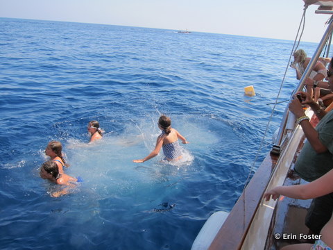 Capri-swimming.jpg
