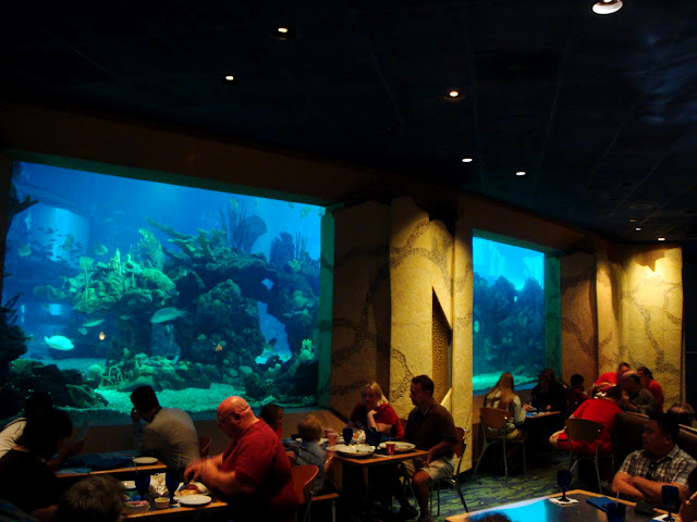 Coral Reef Dining Room2