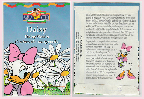 Daisy Daisies