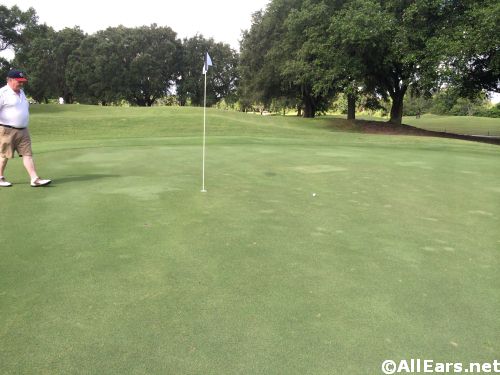 Disney's Oak Trail Golf Course Hole #4 Green Repair