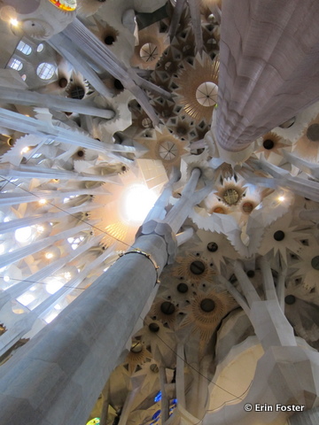Sagrada-ceiling.jpg