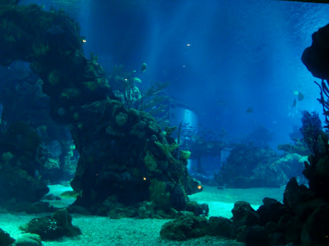 Underwater2