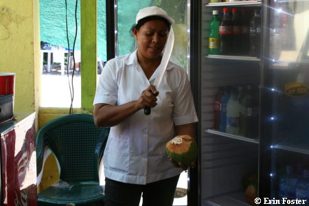 Coconut Machete