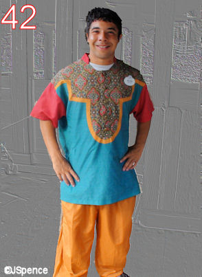 Disney Costume