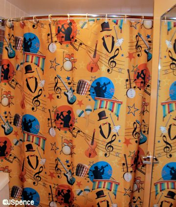 New Shower Curtain
