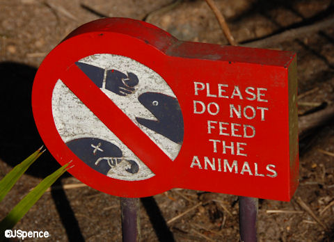 Do Not Feed the Animals