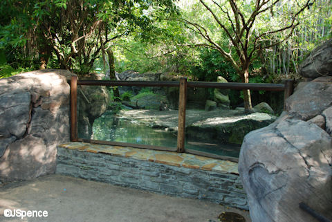 Otter Viewing Area
