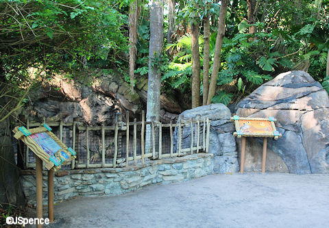 Animal Viewing Area