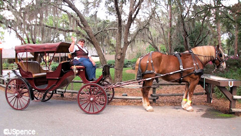 Private Carriage Rides