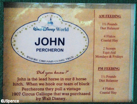 Horse Name Tag