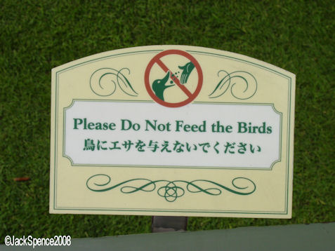 Feed the Birds Sign