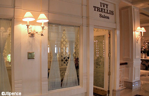 Ivy Trellis Salon