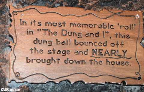 Dung Plaque