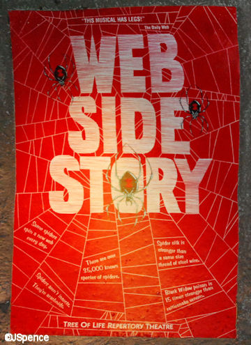 Web Side Story