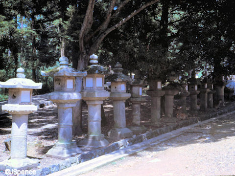 Kasuga Taisha Shrine 
