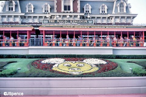 Old Mickey Floral