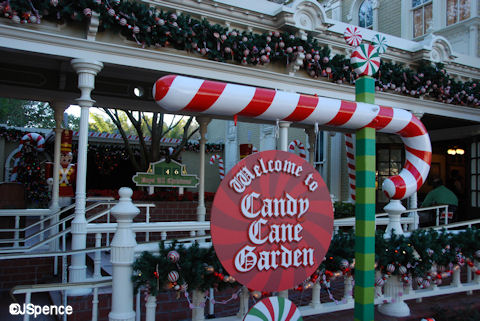 Candy Cane Garden