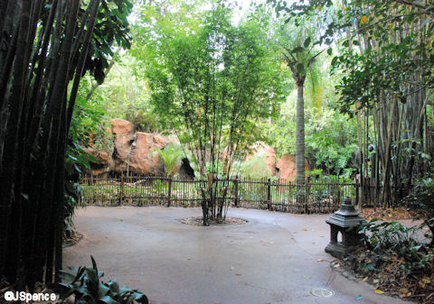 Komodo Dragon Enclosure