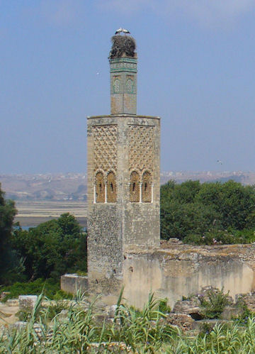 Chellah Minaret - Chellah