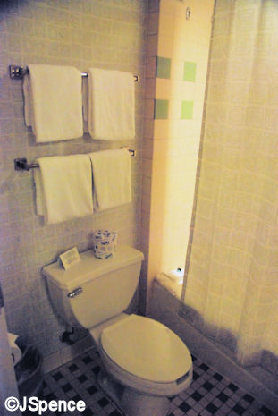 Toilet and Shower