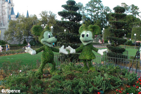 Mickey and Minnie Topiaries