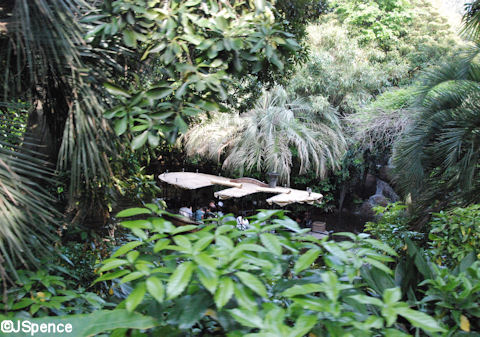 Jungle Cruise as seen from the Steam Train