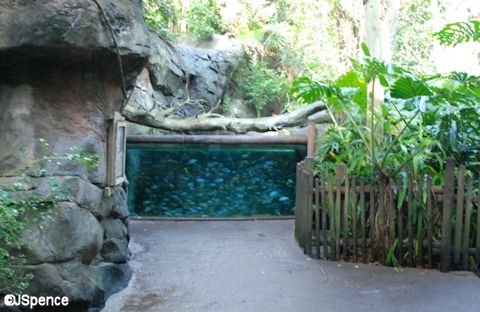 Pangani Aquarium