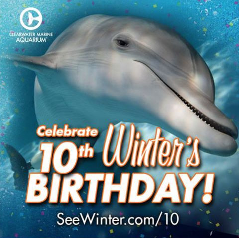clearwater-marine-aquarium-winter-birthday-10.jpg