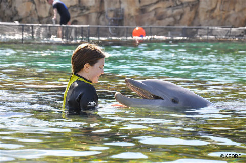 discovery-cove-lauren-interacts-with-dolphin.jpg
