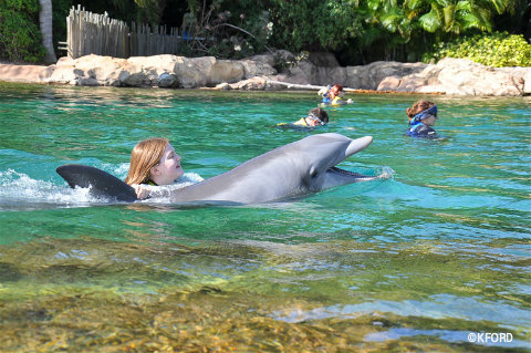 discovery-cove-lauren-swim-with-dolphin.jpg