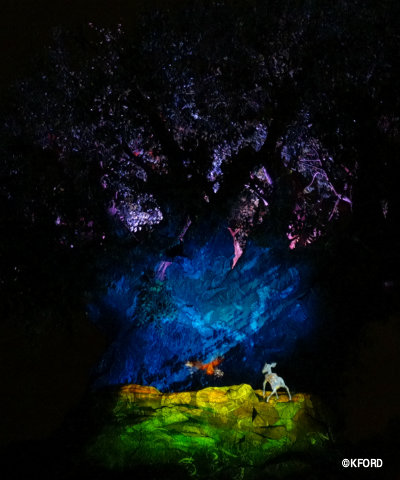 disney-animal-kingdom-tree-of-life-projection-show.jpg