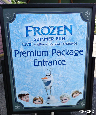 disney-frozen-summer-fun-premium-package-sign.jpg