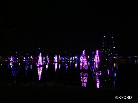 seaworld-christmas-celebration-sea-of-trees-pink.jpg