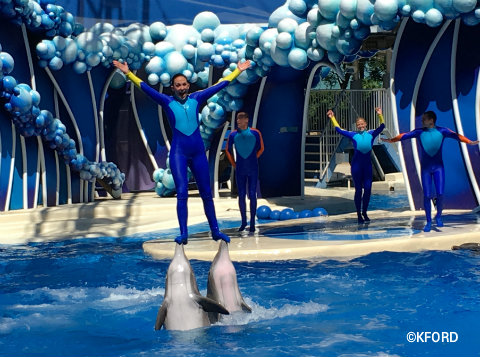 seaworld-orlando-dolphin-days-balancing-on-2-dolphins-noses.jpg
